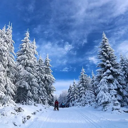 Hunderfossen Leilighet Hafjell